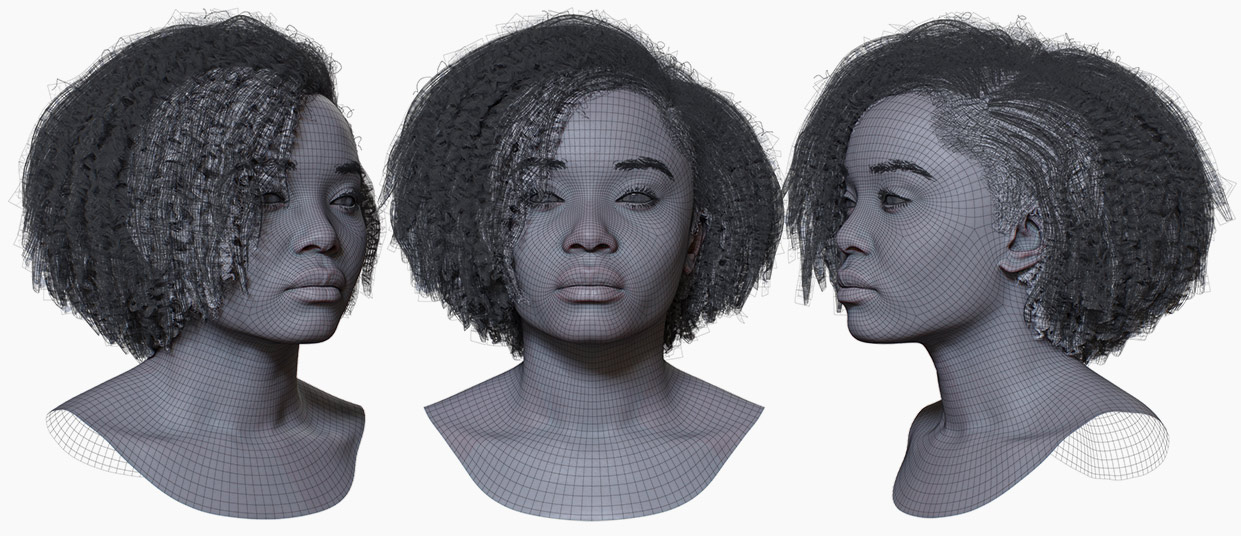 Download polygon hair model with 3d head model 